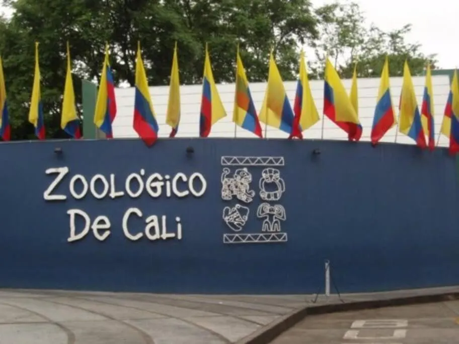Moderno Apartamento En El Oeste De Cali Apartment